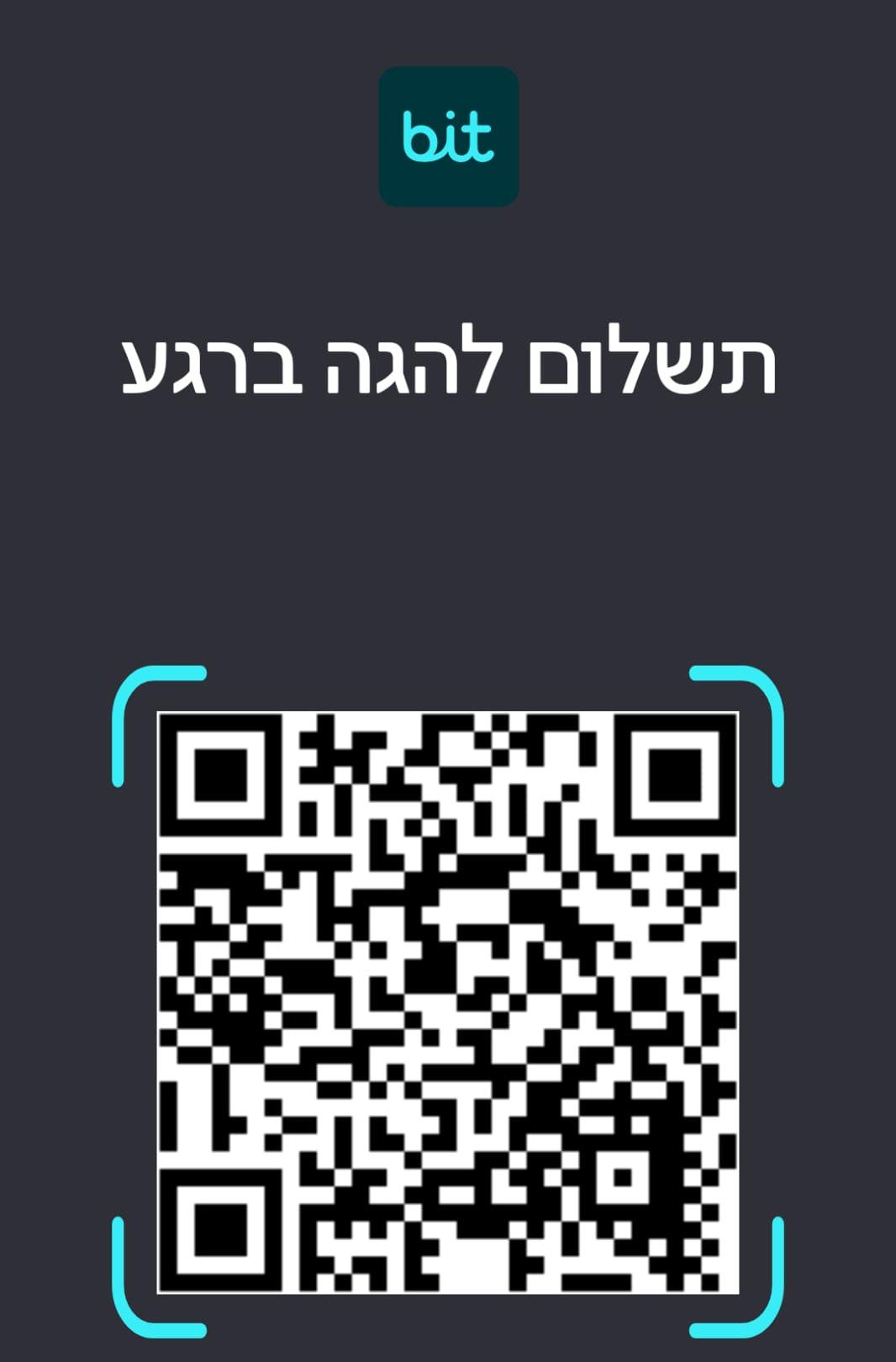 Bit QR
